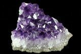 Purple Amethyst Cluster - Uruguay #76721-1